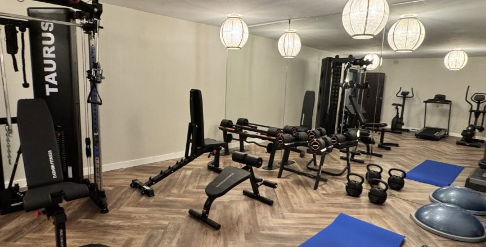 Finca-Paradise-gym 12 bedrooms luxury villas marbella